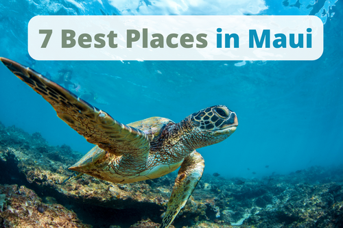 7 Best Places in Maui