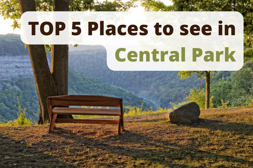 TOP 5 Places to see in Central Park