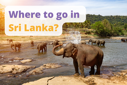 Where to go in Sri Lanka?