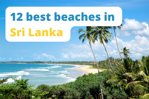12 best beaches in Sri Lanka 