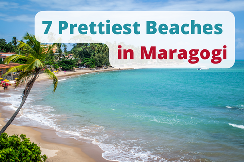 7 Prettiest Beaches in Maragogi